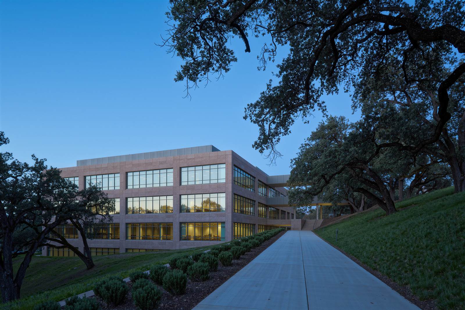 A low-rise office building on a wooded hillside among live oaks at dusk